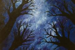 Starry-Forest