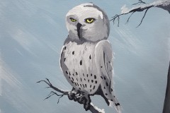 Winter-Owl